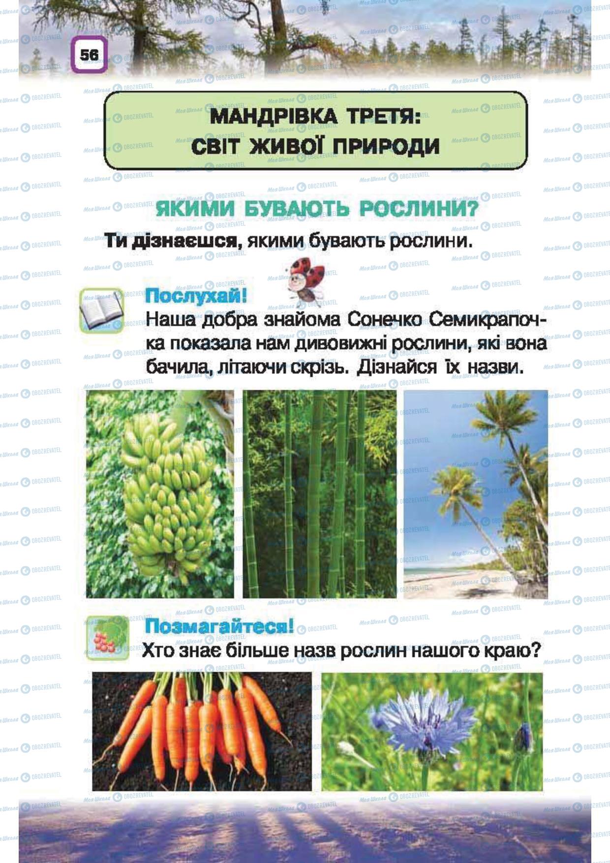 Підручники Природознавство 1 клас сторінка 56
