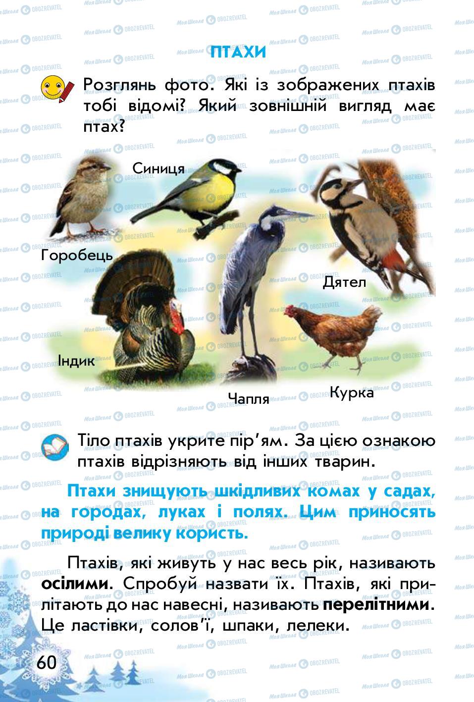 Підручники Природознавство 1 клас сторінка 60