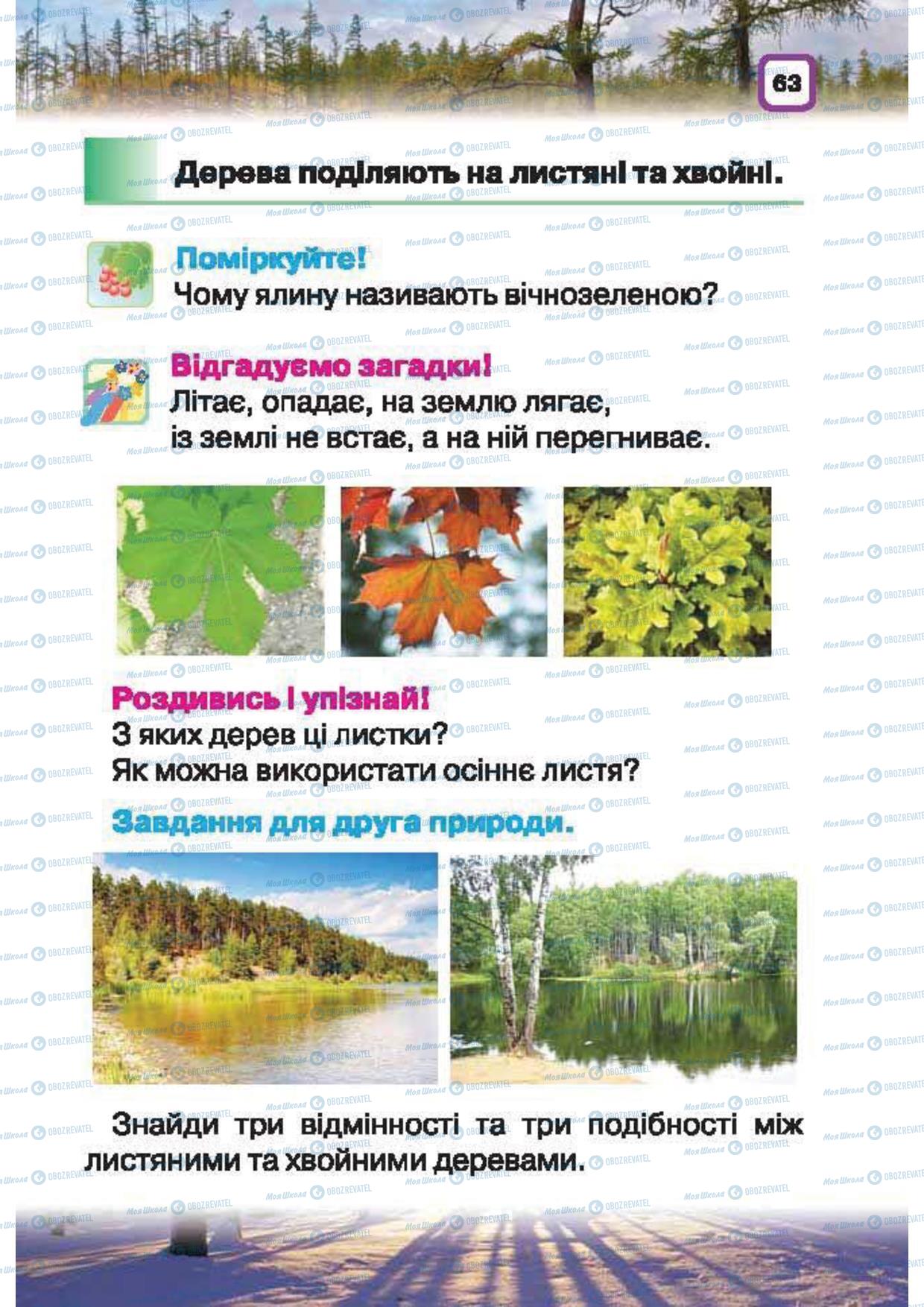 Підручники Природознавство 1 клас сторінка 63