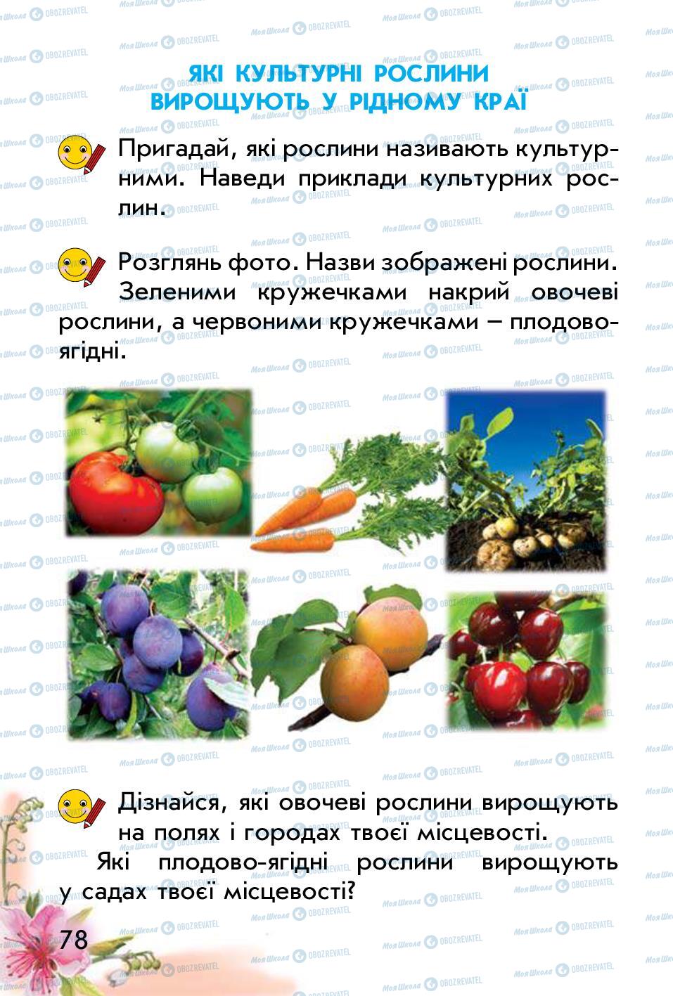 Підручники Природознавство 1 клас сторінка 78