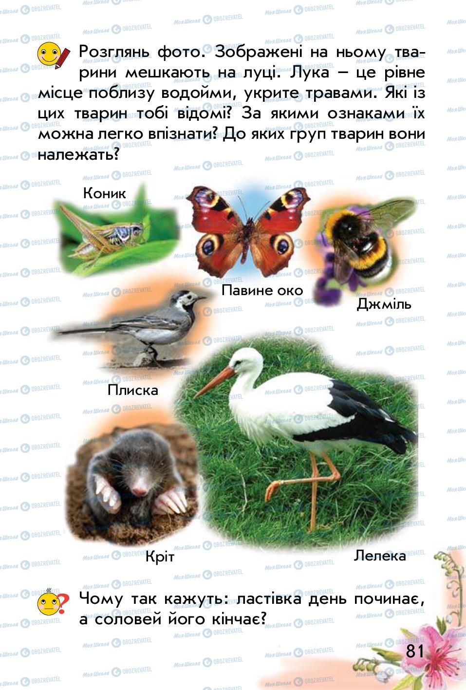Учебники Природоведение 1 класс страница 81