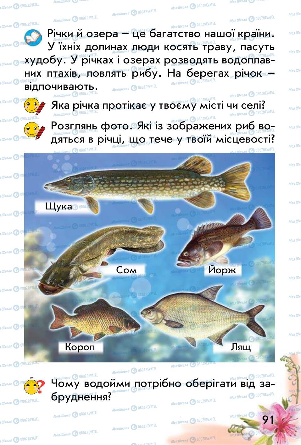 Підручники Природознавство 1 клас сторінка 91