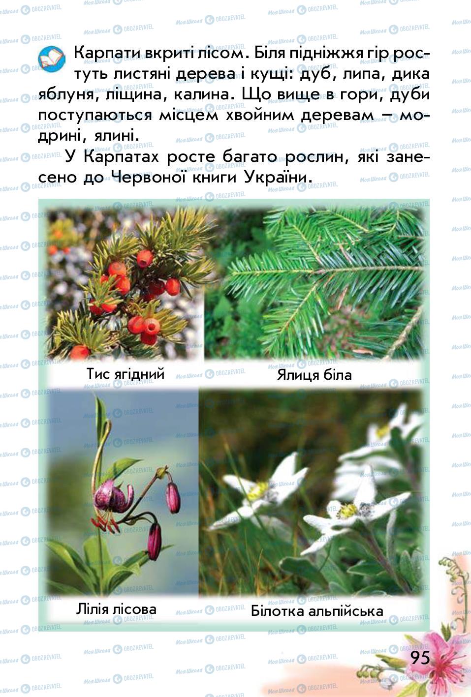 Підручники Природознавство 1 клас сторінка 95