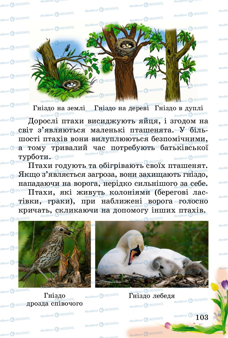 Підручники Природознавство 2 клас сторінка 103