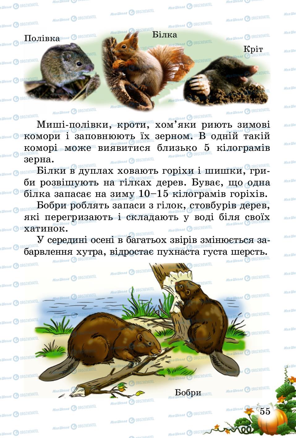 Підручники Природознавство 2 клас сторінка 55
