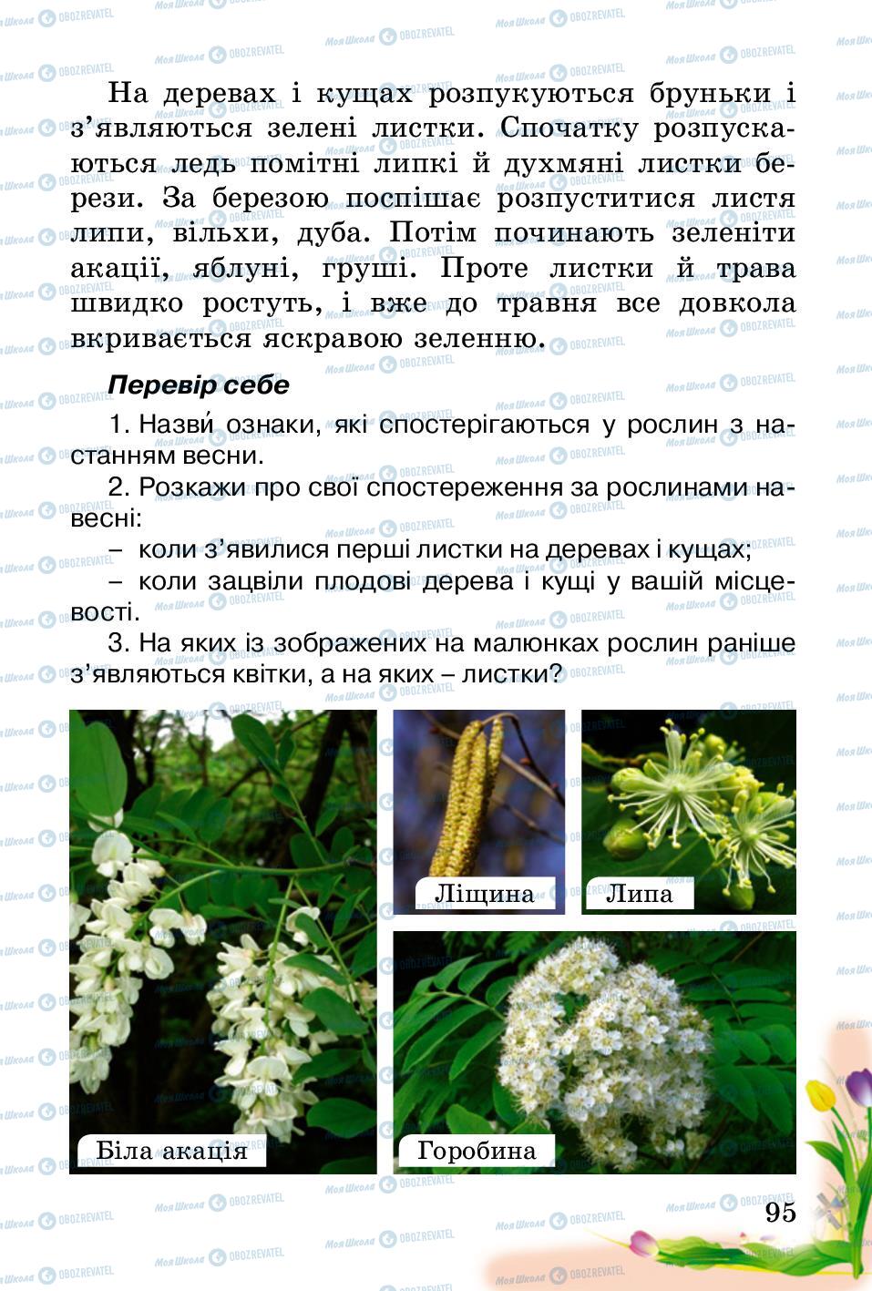 Підручники Природознавство 2 клас сторінка 95