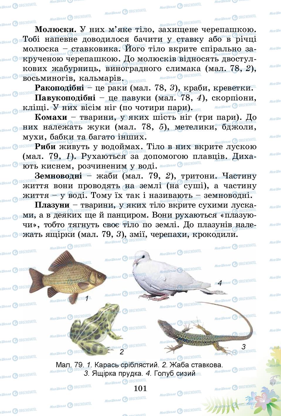 Підручники Природознавство 3 клас сторінка 101