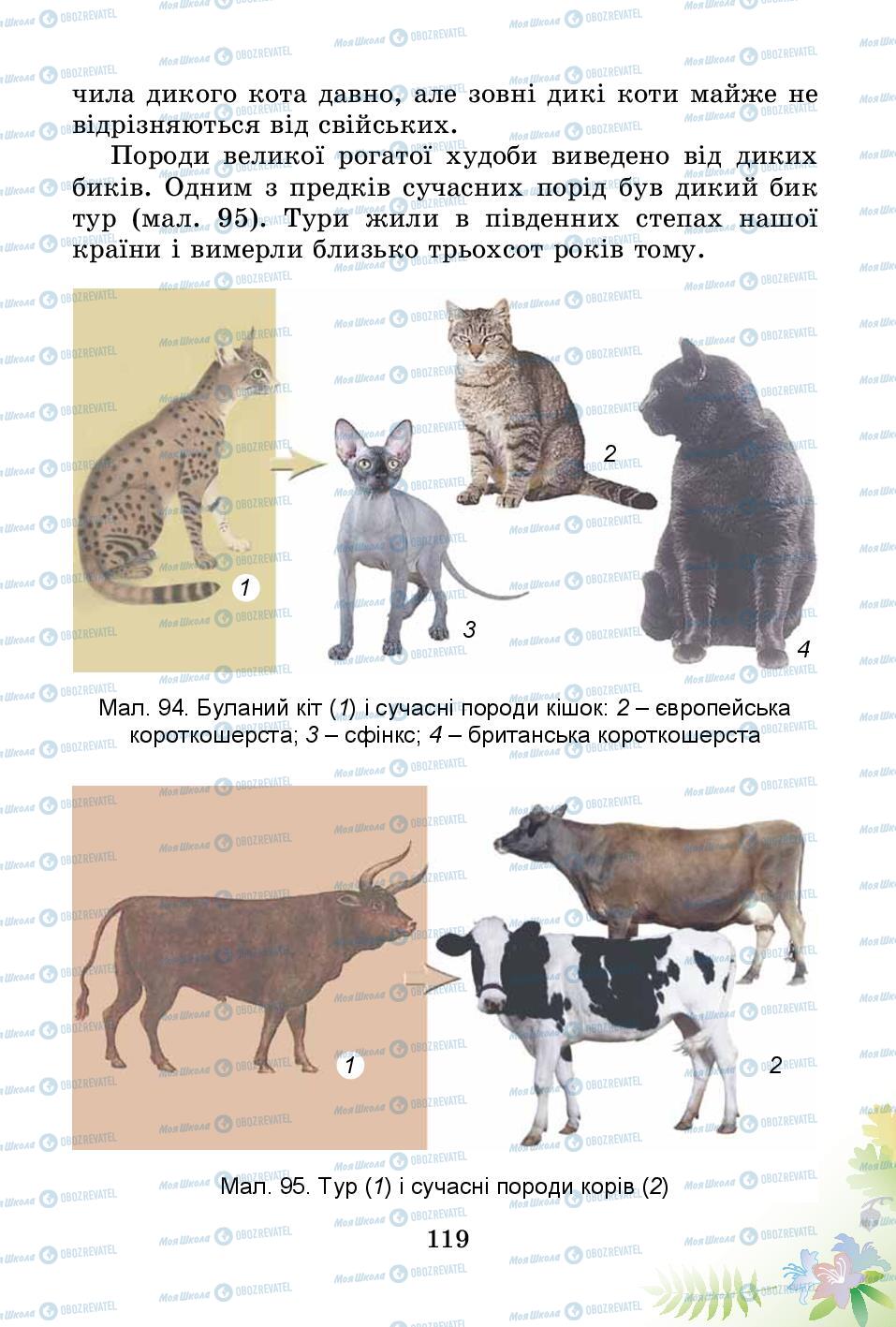 Учебники Природоведение 3 класс страница 119