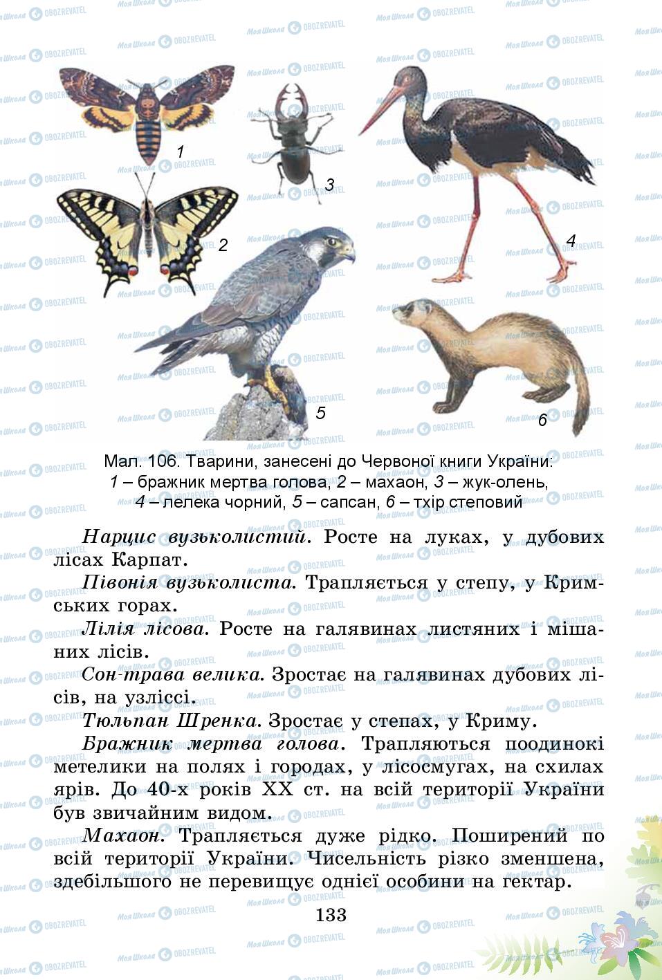 Підручники Природознавство 3 клас сторінка 133