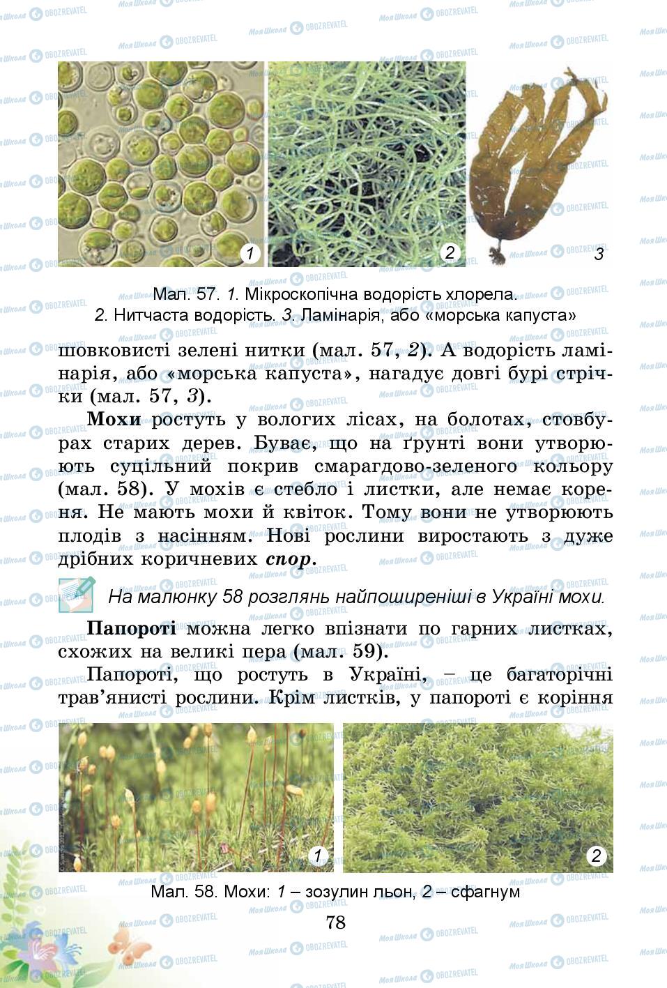 Підручники Природознавство 3 клас сторінка 78