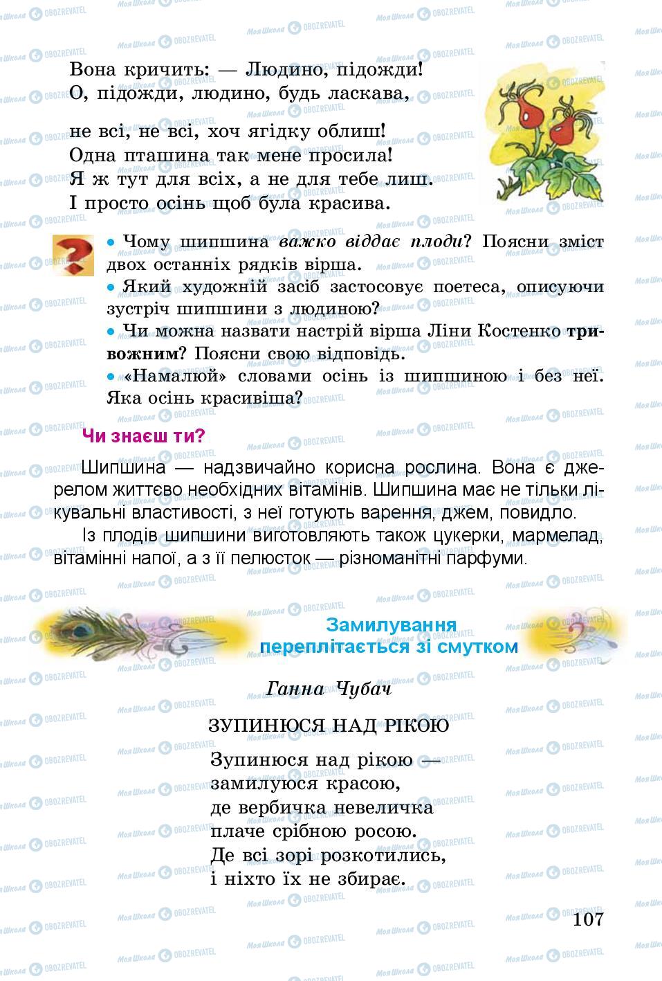 Підручники Українська література 3 клас сторінка 107