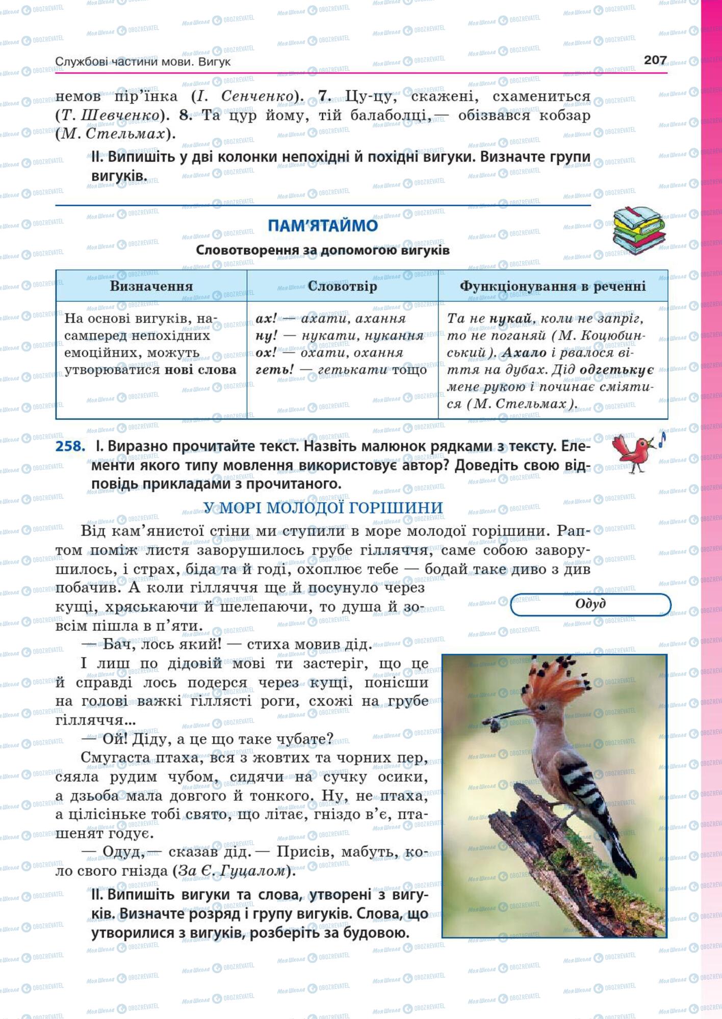 Підручники Українська мова 7 клас сторінка  207