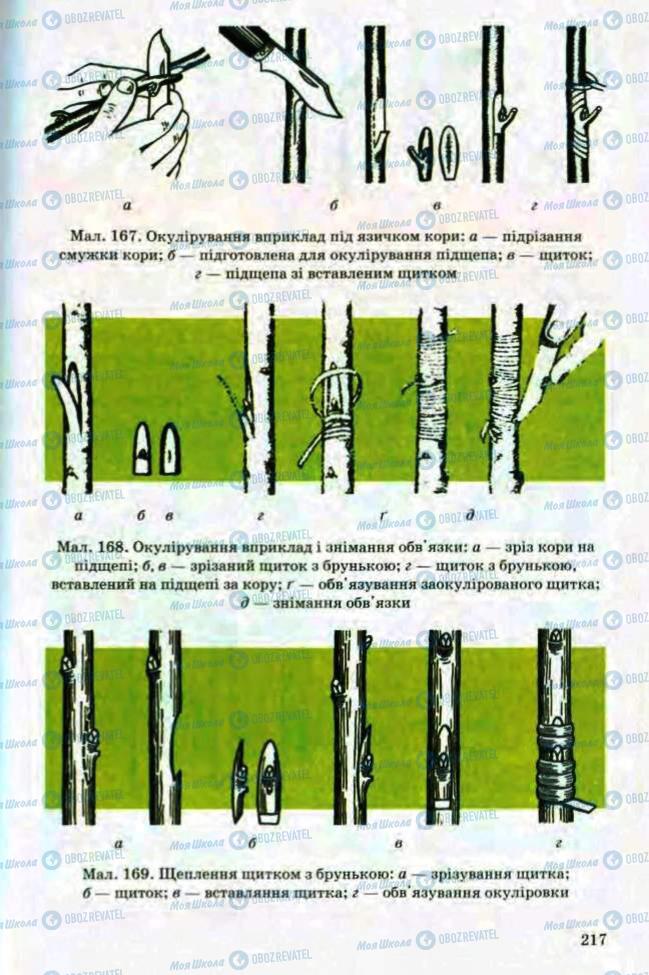 Підручники Трудове навчання 8 клас сторінка 217