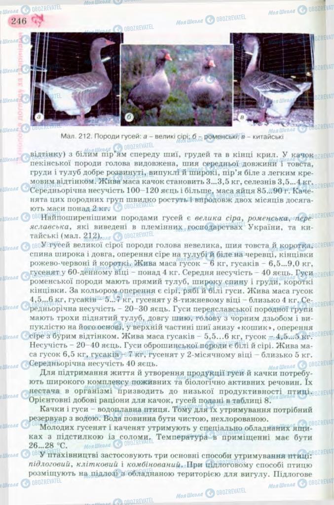 Підручники Трудове навчання 8 клас сторінка 246