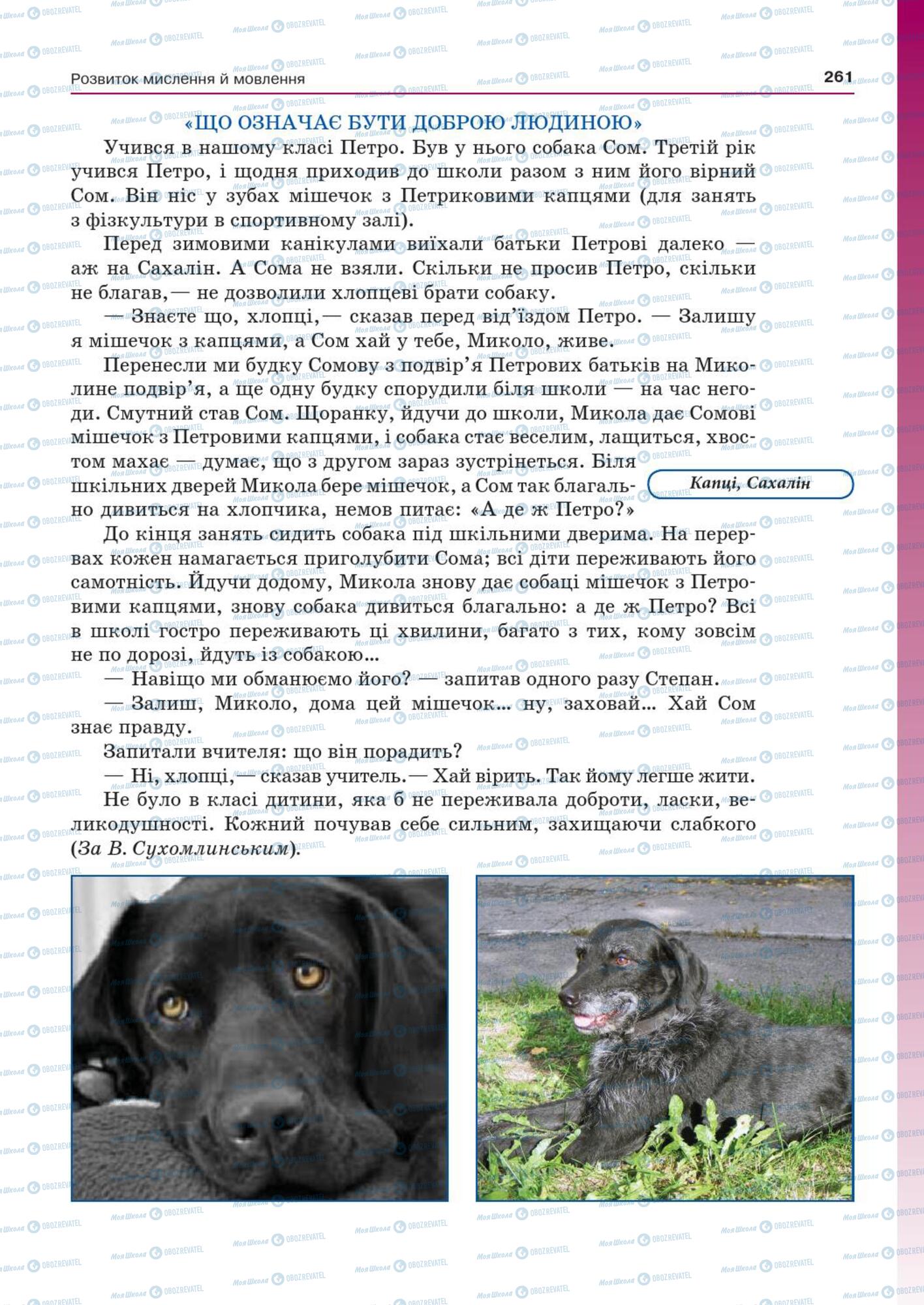 Підручники Українська мова 7 клас сторінка  261