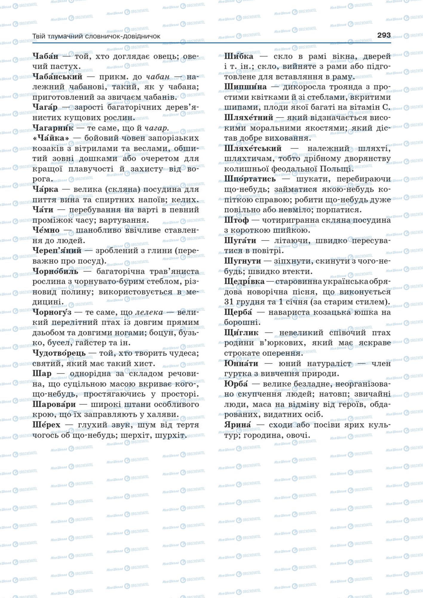 Підручники Українська мова 7 клас сторінка  293