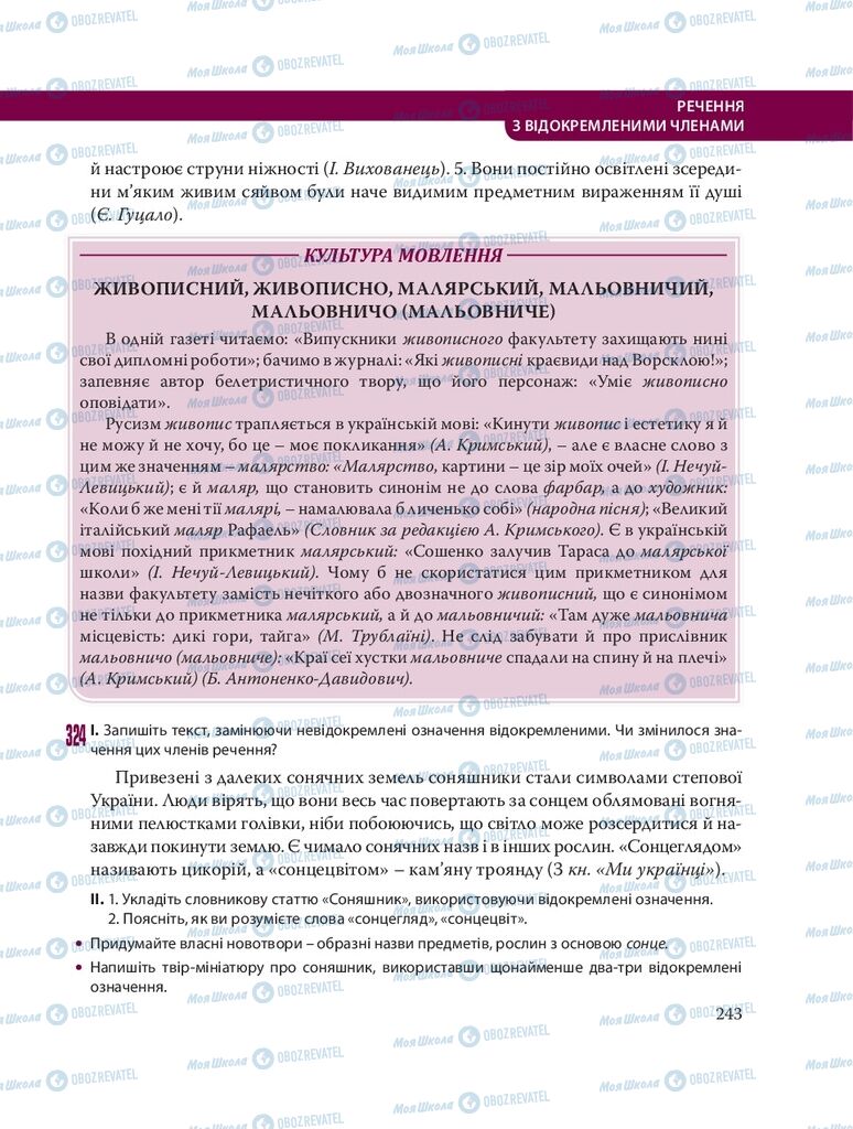 Підручники Українська мова 8 клас сторінка 243
