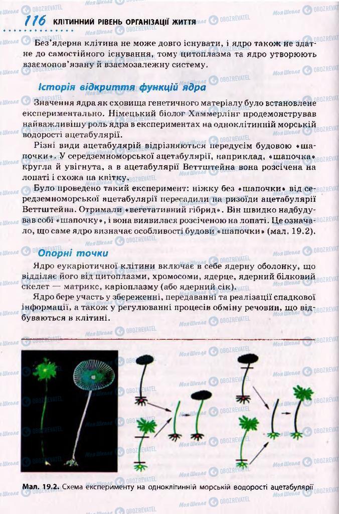 Учебники Биология 10 класс страница 116