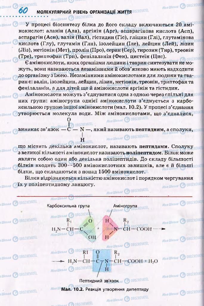 Підручники Біологія 10 клас сторінка 60