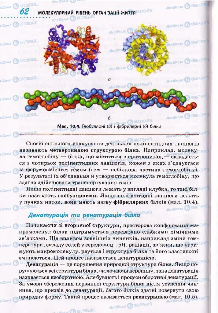 Підручники Біологія 10 клас сторінка 62