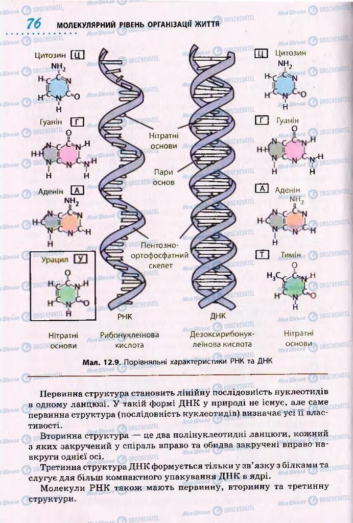 Підручники Біологія 10 клас сторінка 76