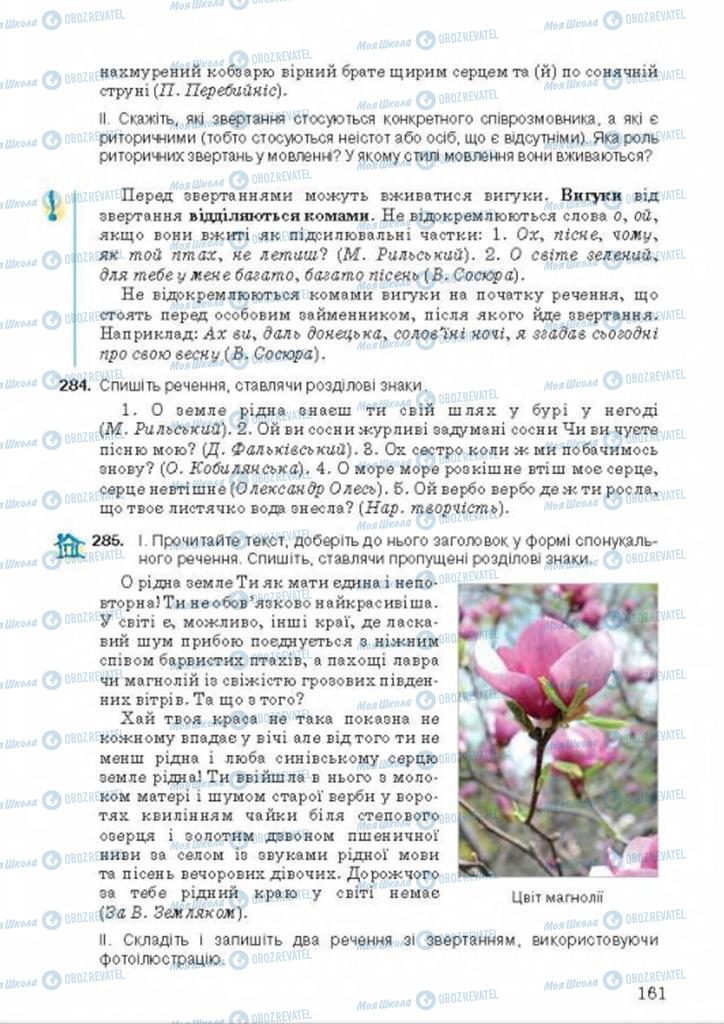 Підручники Українська мова 9 клас сторінка 161