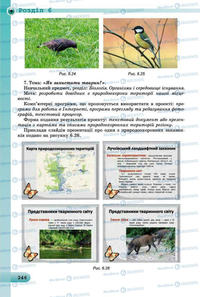 Підручники Інформатика 7 клас сторінка 246