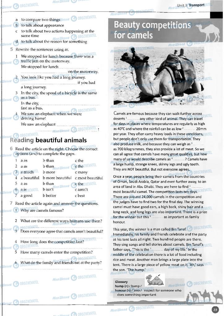 Підручники Англійська мова 11 клас сторінка 23