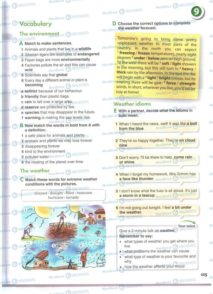 Підручники Англійська мова 11 клас сторінка 115