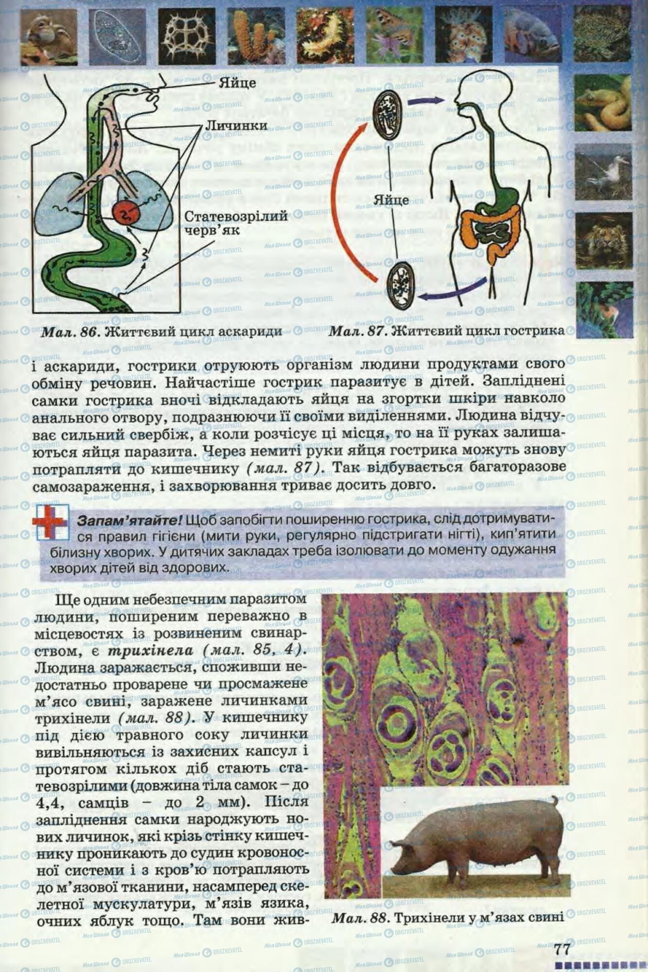 Підручники Географія 8 клас сторінка 77