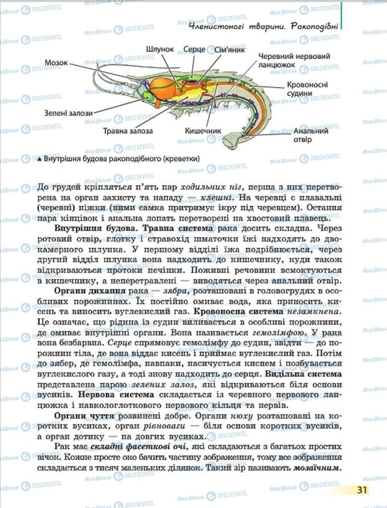 Підручники Біологія 7 клас сторінка 31