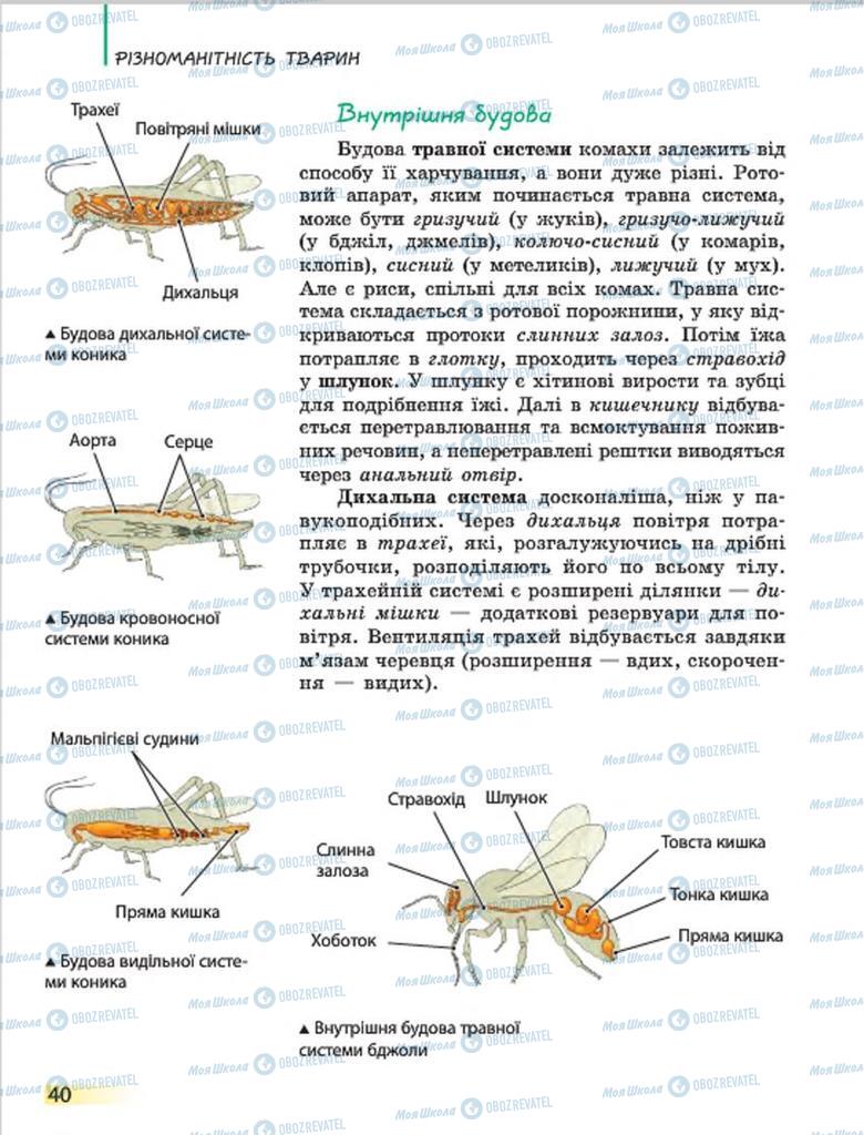Учебники Биология 7 класс страница 40
