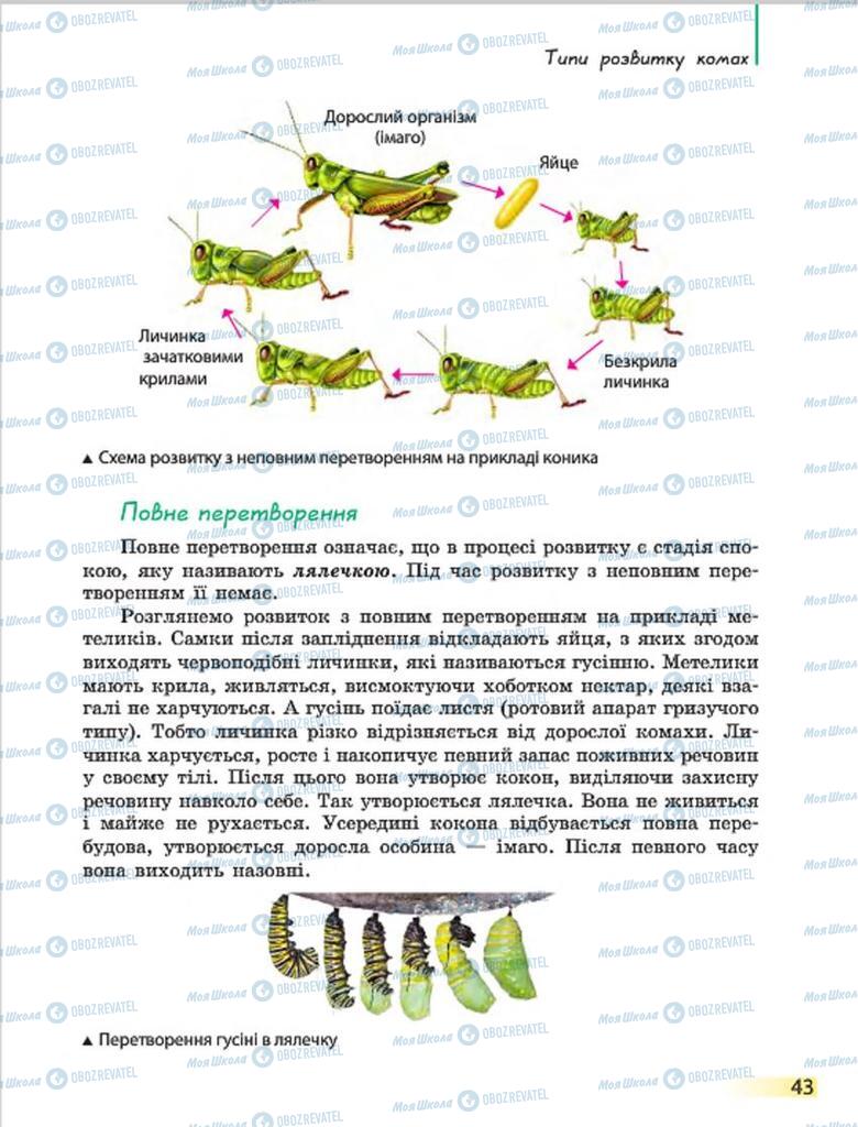 Підручники Біологія 7 клас сторінка 43