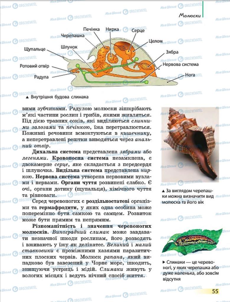 Підручники Біологія 7 клас сторінка 55
