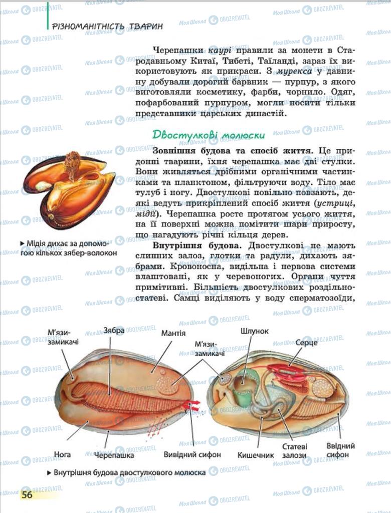 Підручники Біологія 7 клас сторінка 56