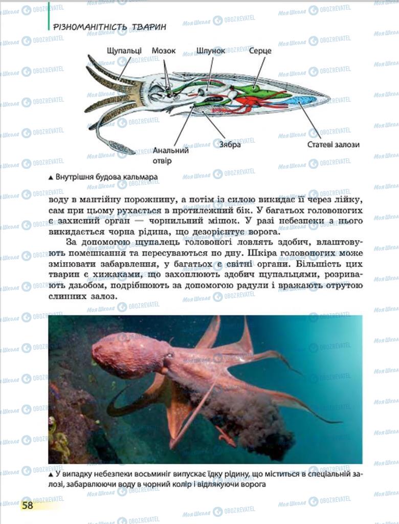 Підручники Біологія 7 клас сторінка 58