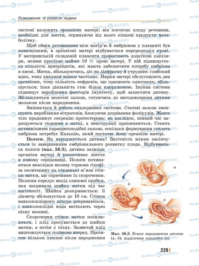 Підручники Біологія 8 клас сторінка 229