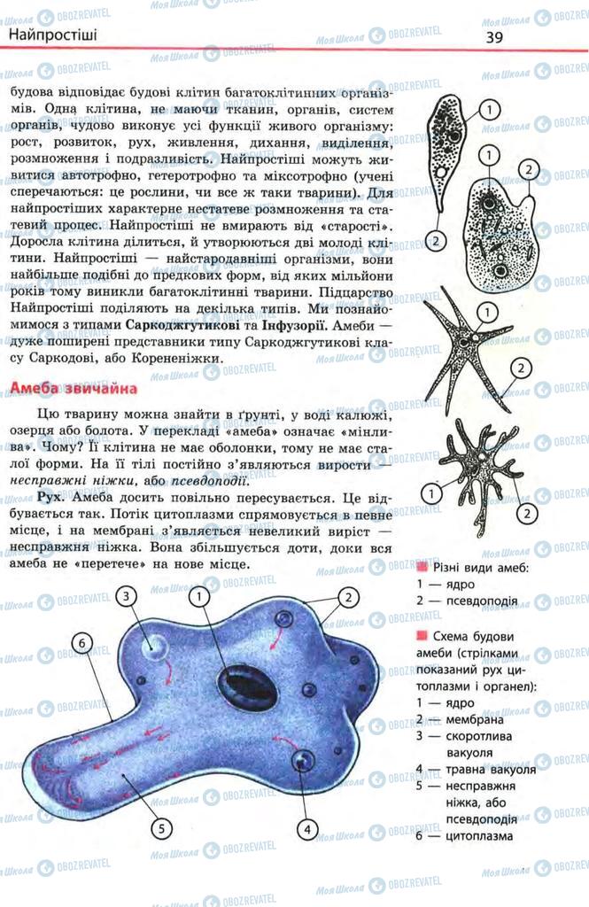 Підручники Біологія 8 клас сторінка 39
