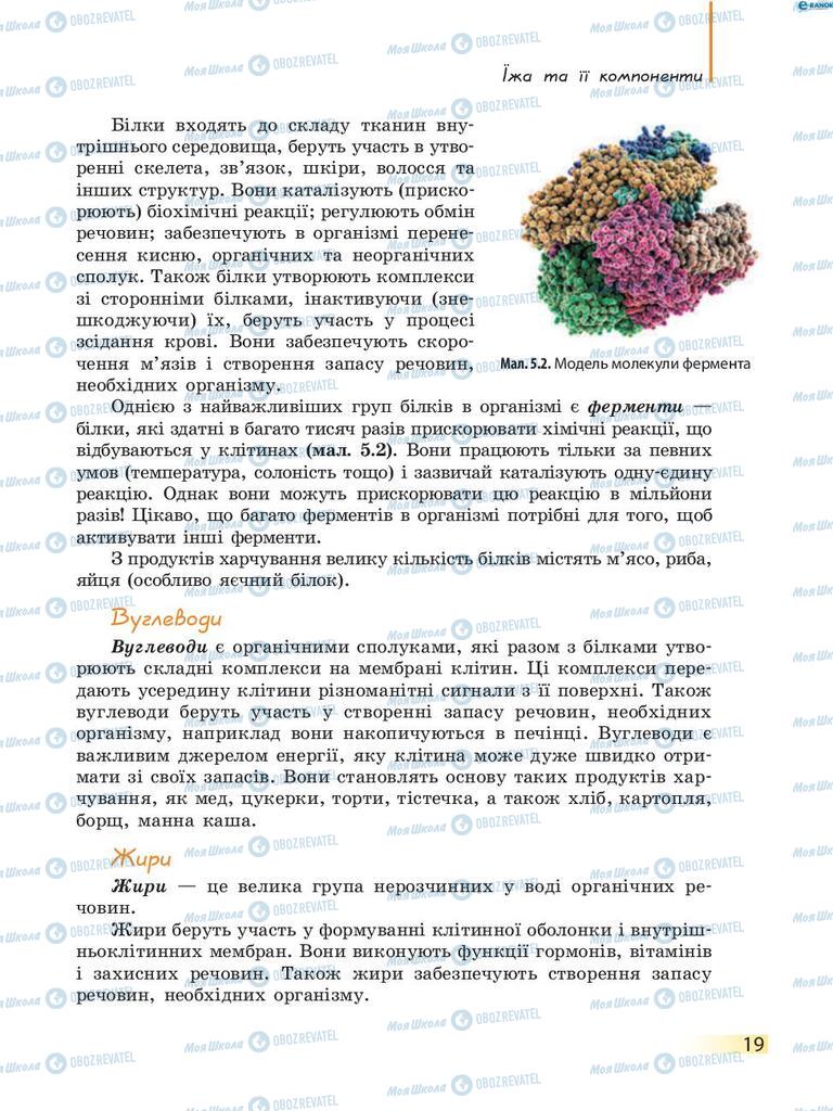 Підручники Біологія 8 клас сторінка 19