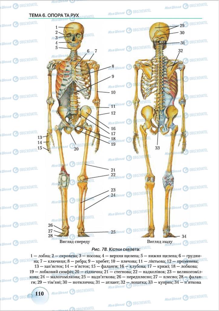 Підручники Біологія 8 клас сторінка 110