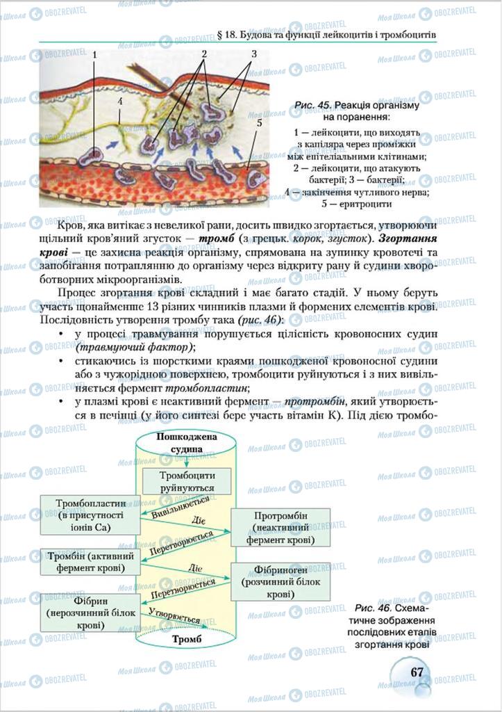 Учебники Биология 8 класс страница 67