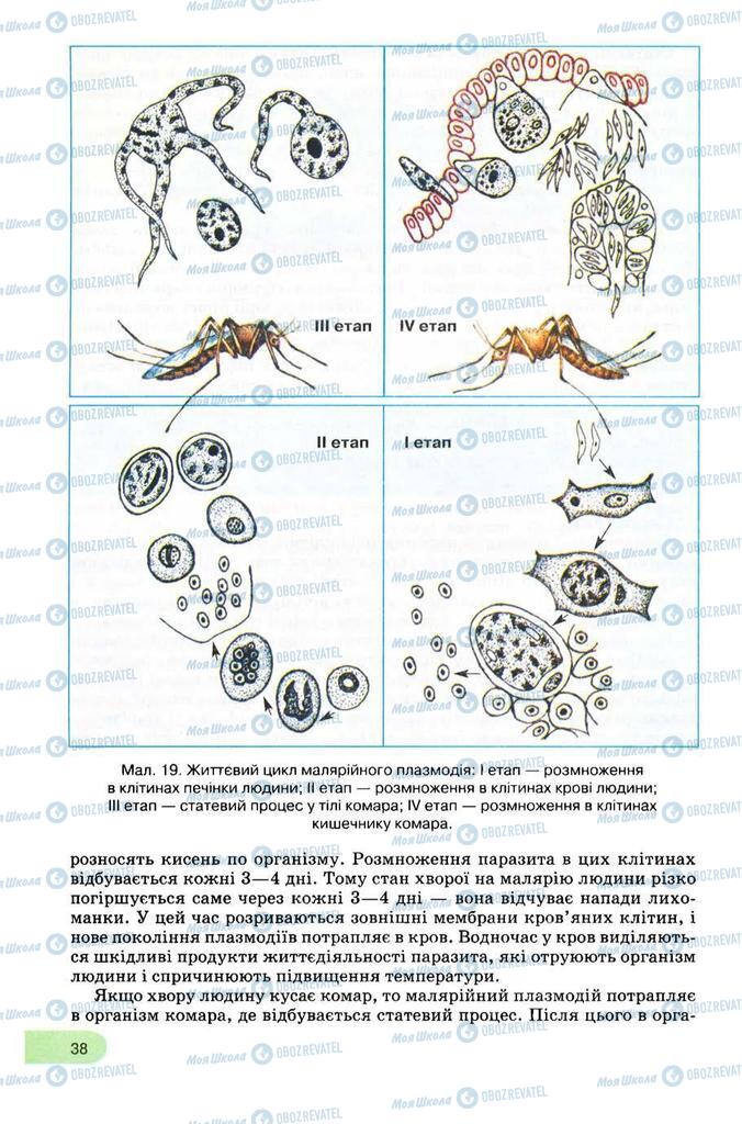 Підручники Біологія 8 клас сторінка 38