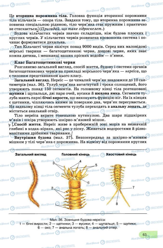 Підручники Біологія 8 клас сторінка 63