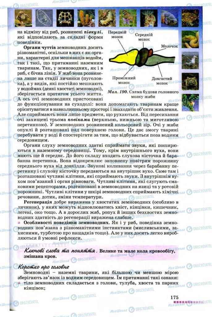 Підручники Біологія 8 клас сторінка 175