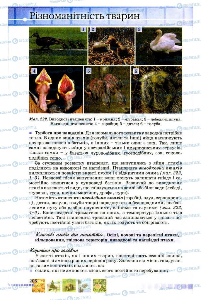 Підручники Біологія 8 клас сторінка 206
