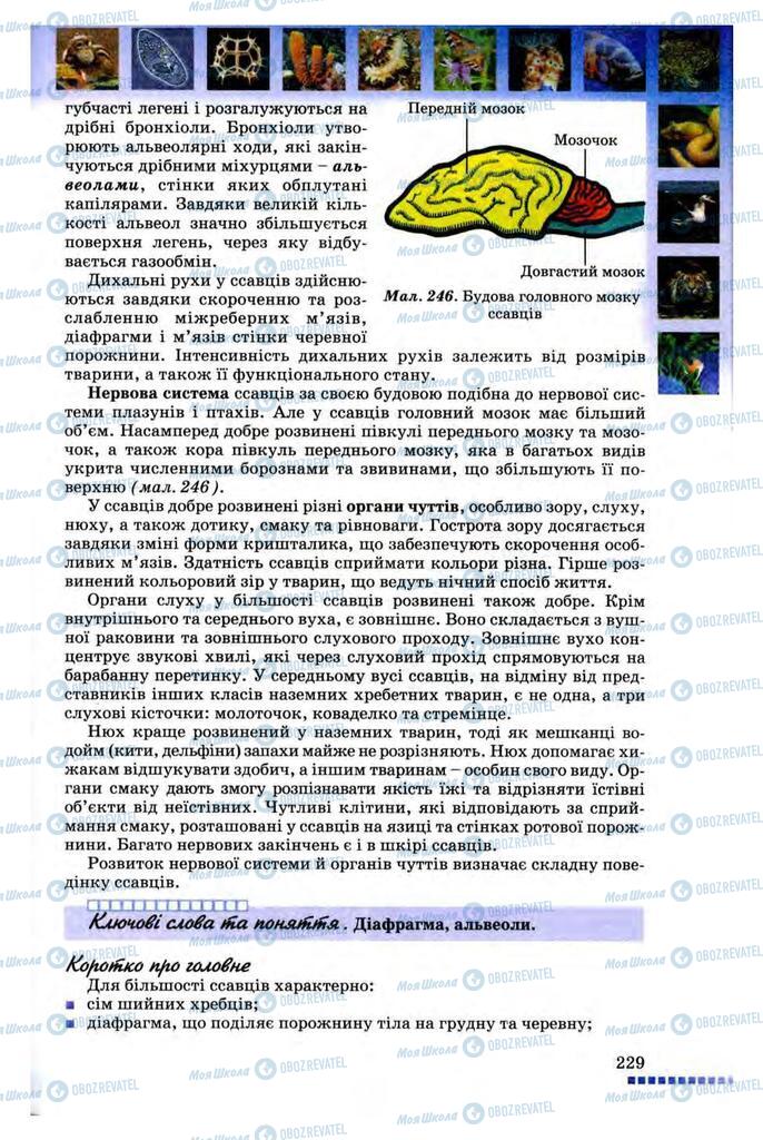 Підручники Біологія 8 клас сторінка 229