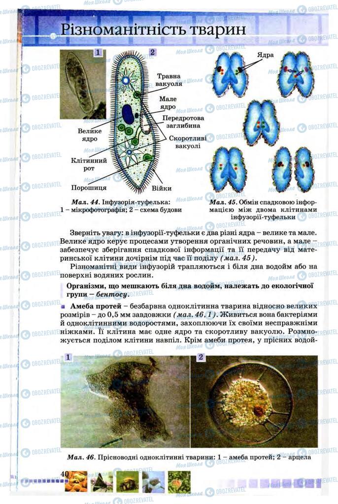 Підручники Біологія 8 клас сторінка 40