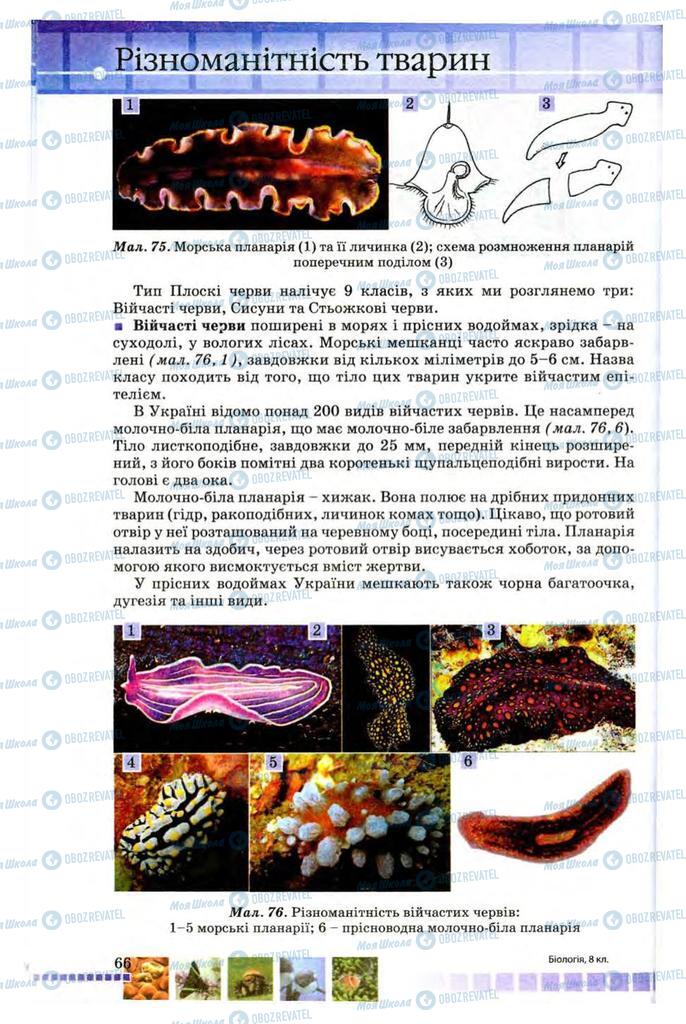 Учебники Биология 8 класс страница 66