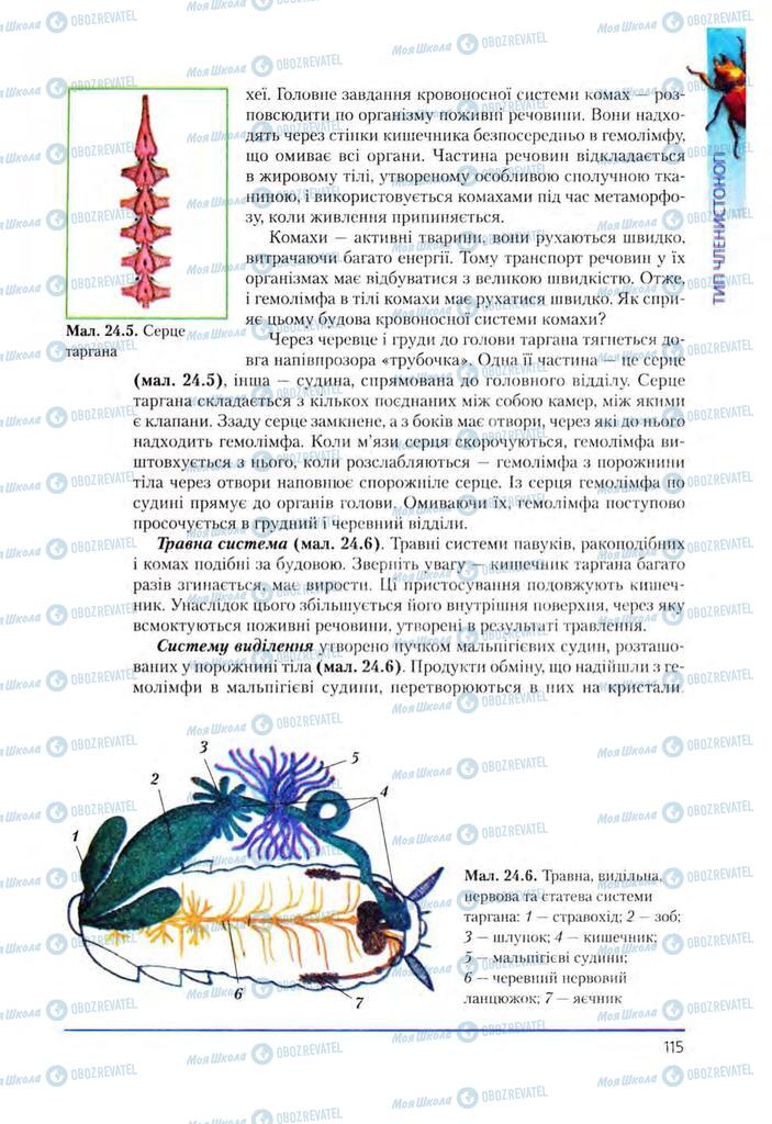 Підручники Біологія 8 клас сторінка 115