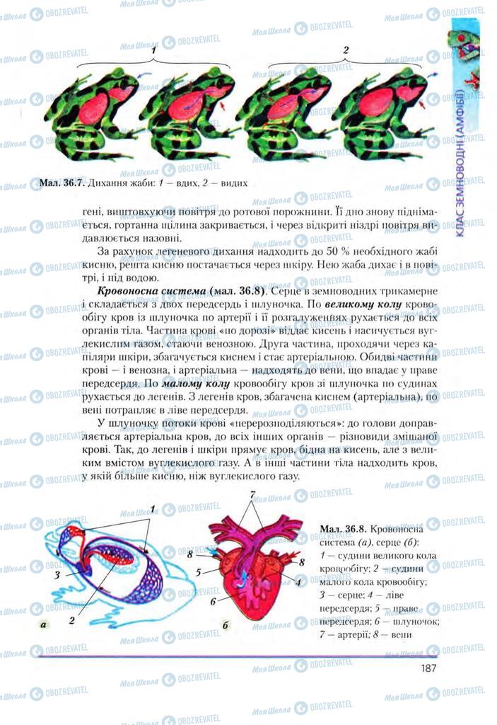 Підручники Біологія 8 клас сторінка 187